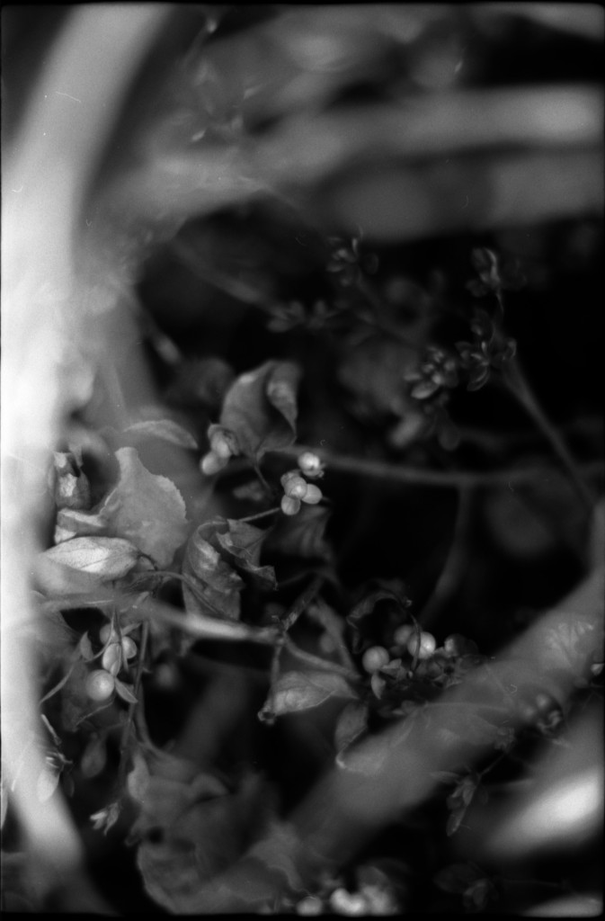 1-141103SP-retro80-2-008