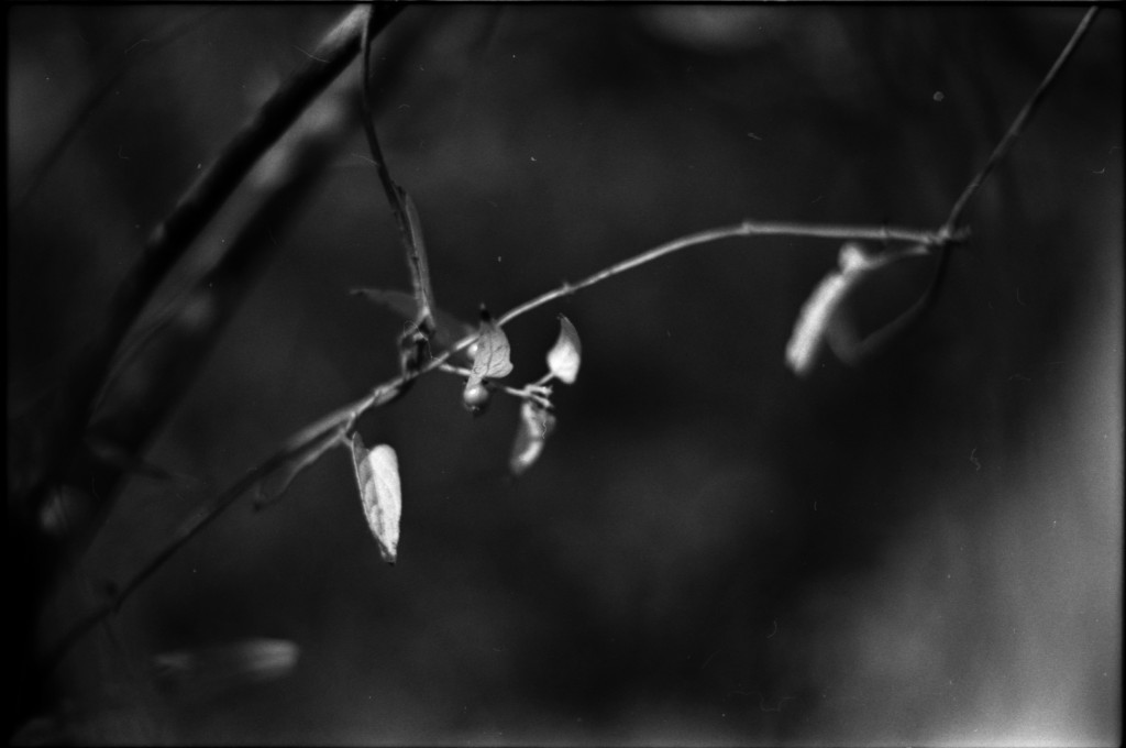 1-141103SP-retro80-2-009