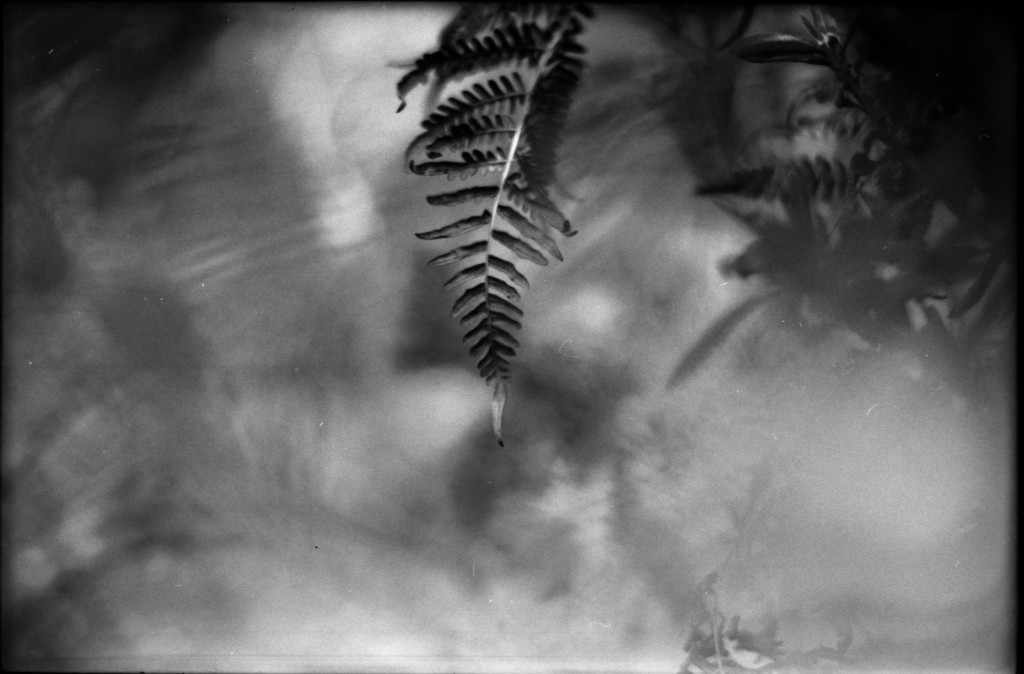 1-141103SP-retro80-2-011