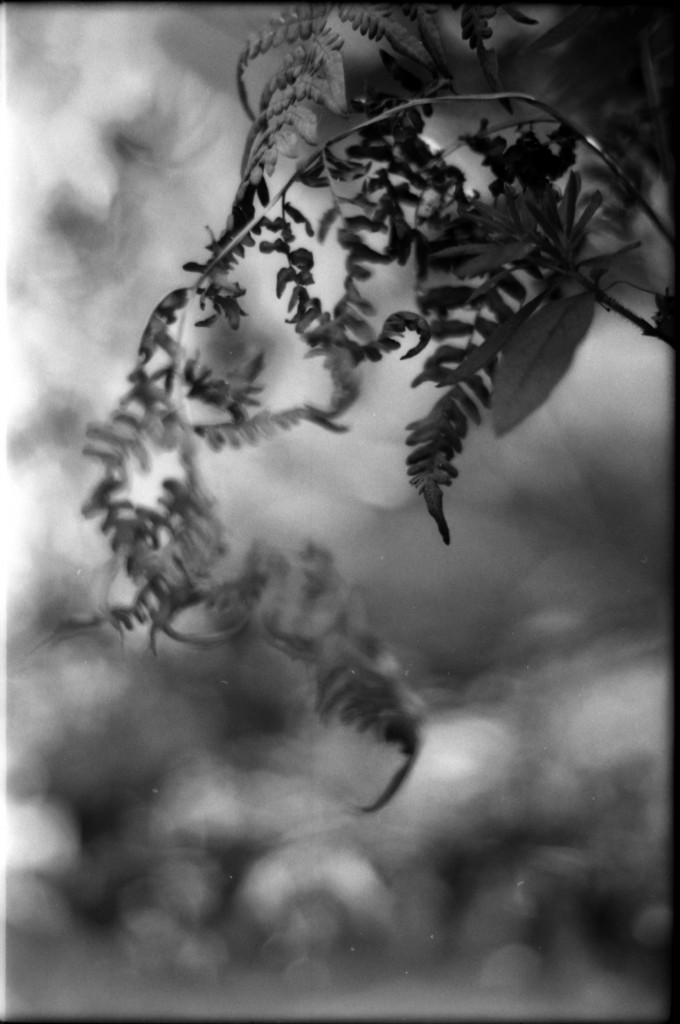 1-141103SP-retro80-2-013