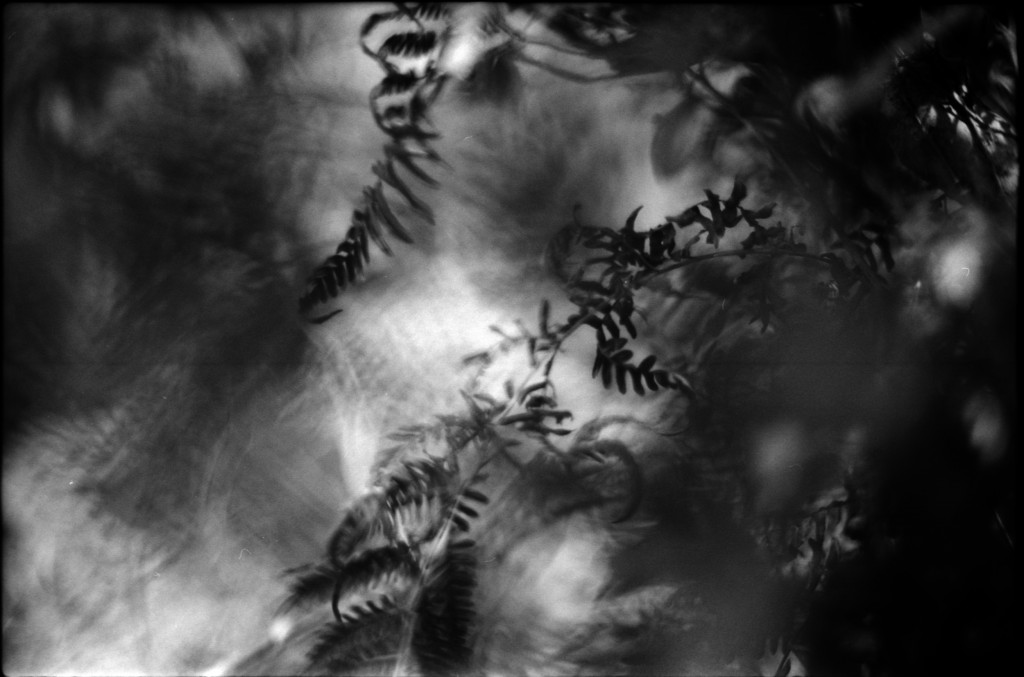 1-141103SP-retro80-2-015