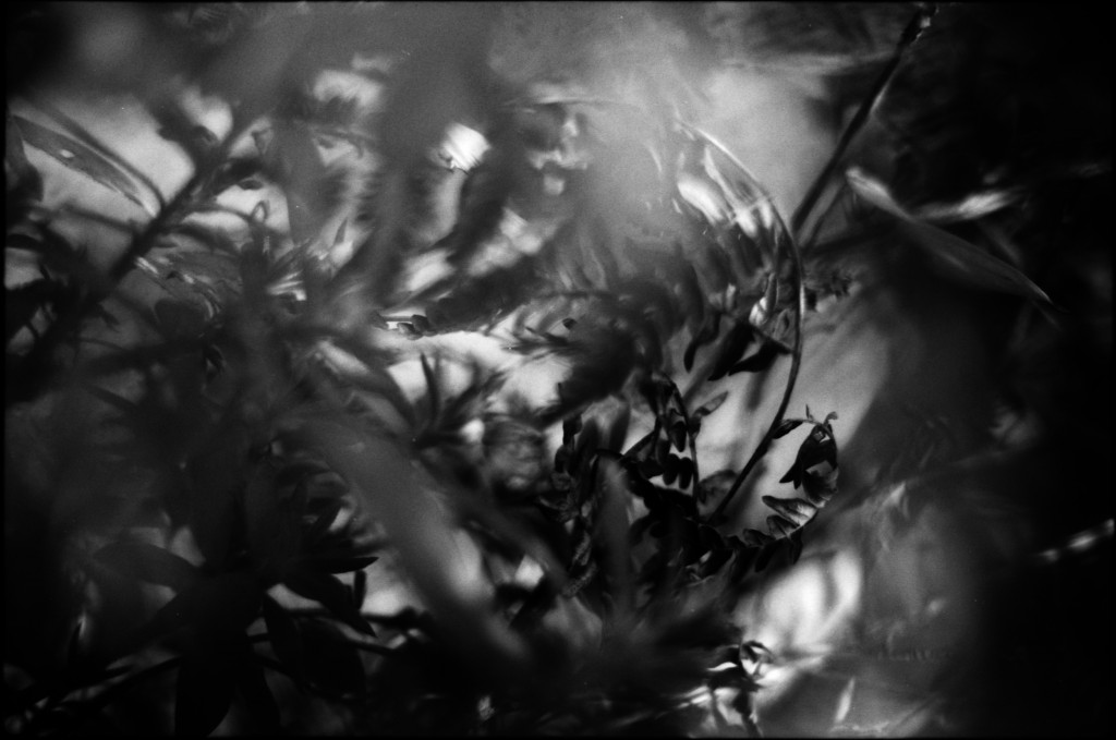 1-141103SP-retro80-2-018