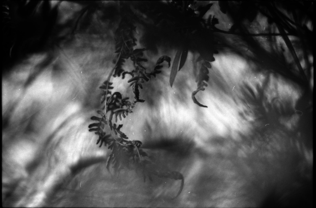 1-141103SP-retro80-2-019