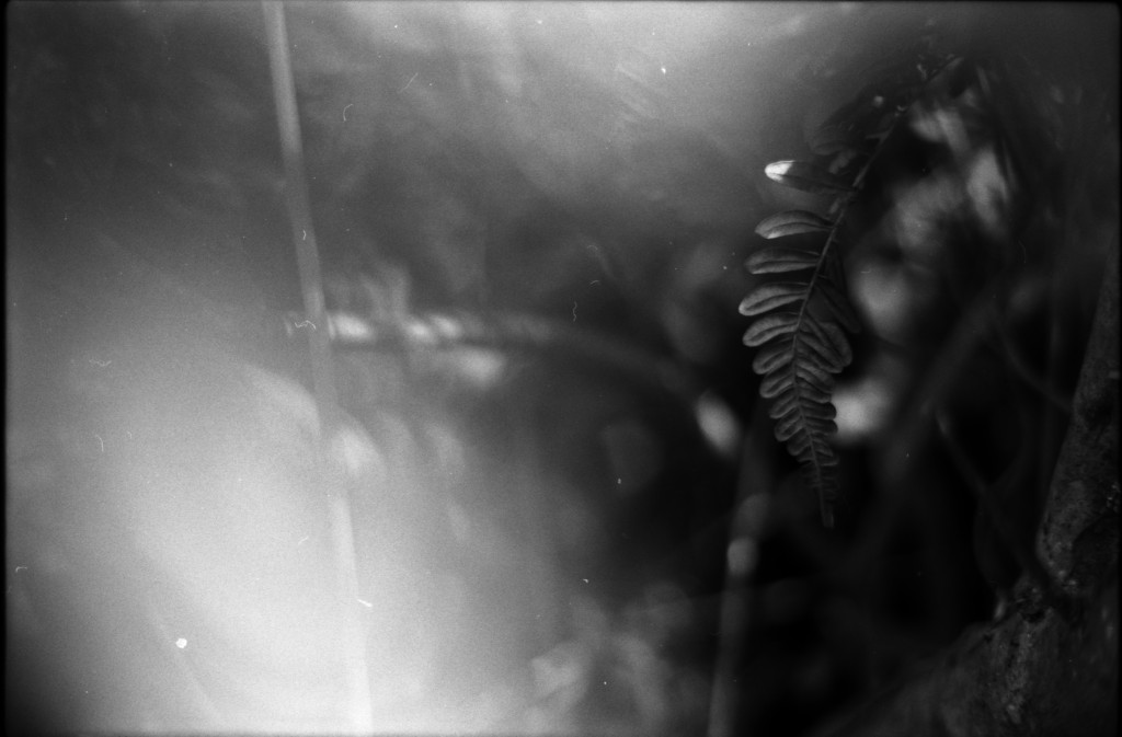 1-141103SP-retro80-2-021