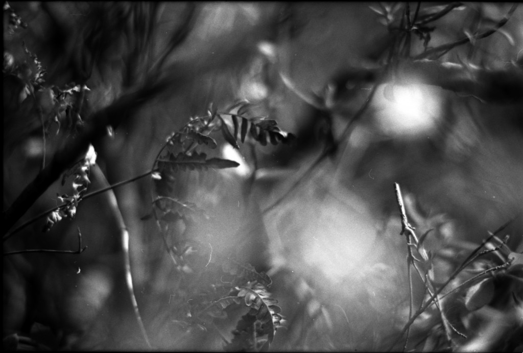 1-141103SP-retro80-2-022