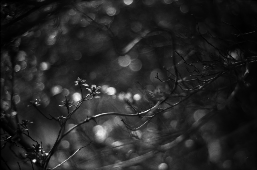 1-141103SP-retro80-2-023