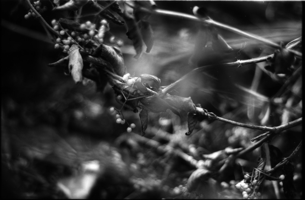 1-141103SP-retro80-2-026