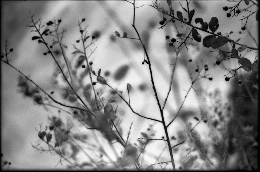 1-141103SP-retro80-2-027