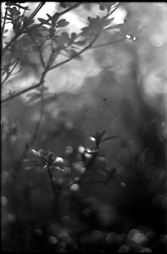 1-141103SP-retro80-2-031