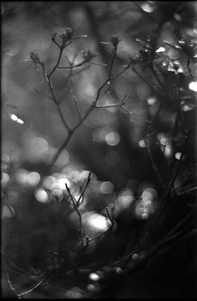 1-141103SP-retro80-2-032