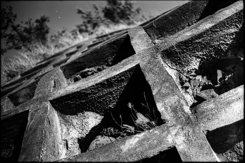 1-13Jan04FT-retro80-027