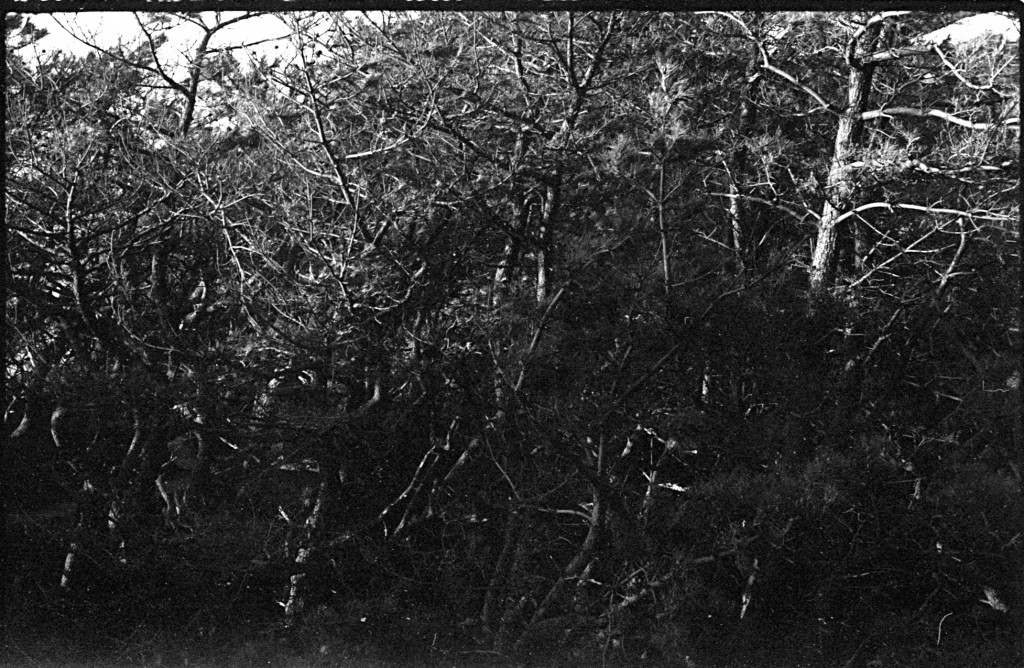 1-13Jan04FT-retro80-031