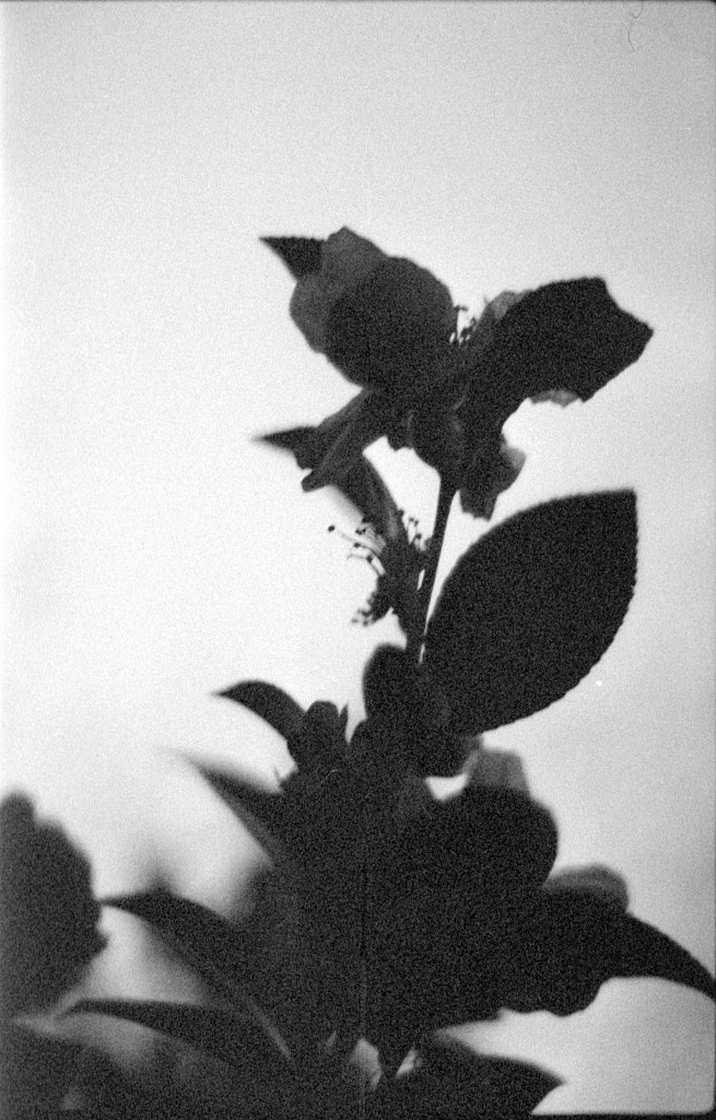 1-13Jan11FT-tx-exp-031