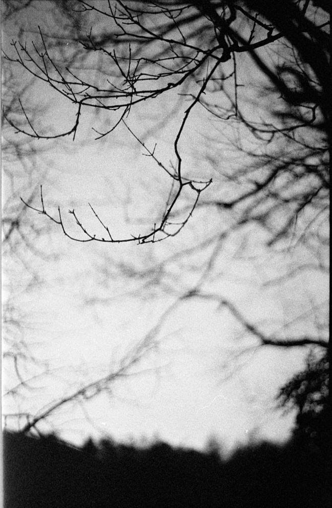 1-13Jan11FT-tx-exp-033