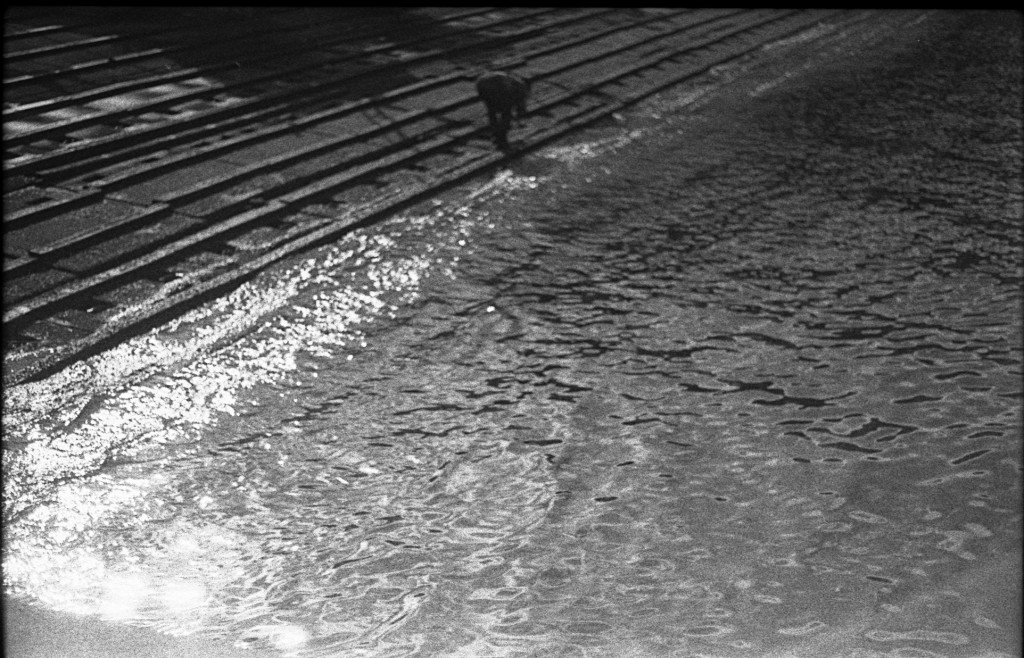 1-13Jan11FT-tx-exp-038