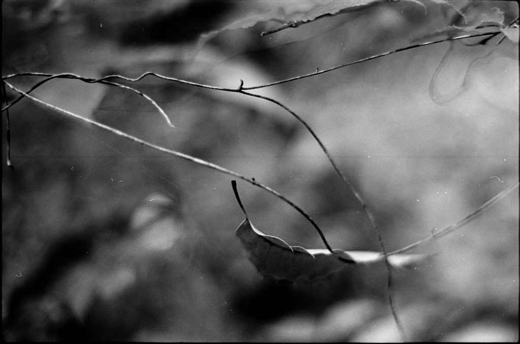 1-141124SP-retro80-001