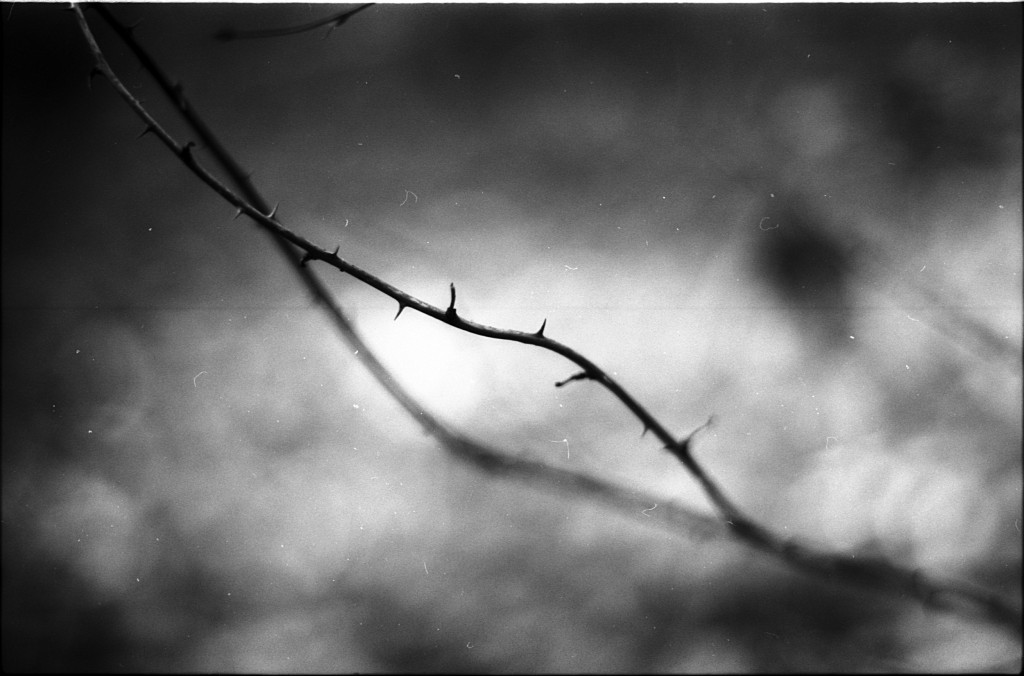 1-141124SP-retro80-003