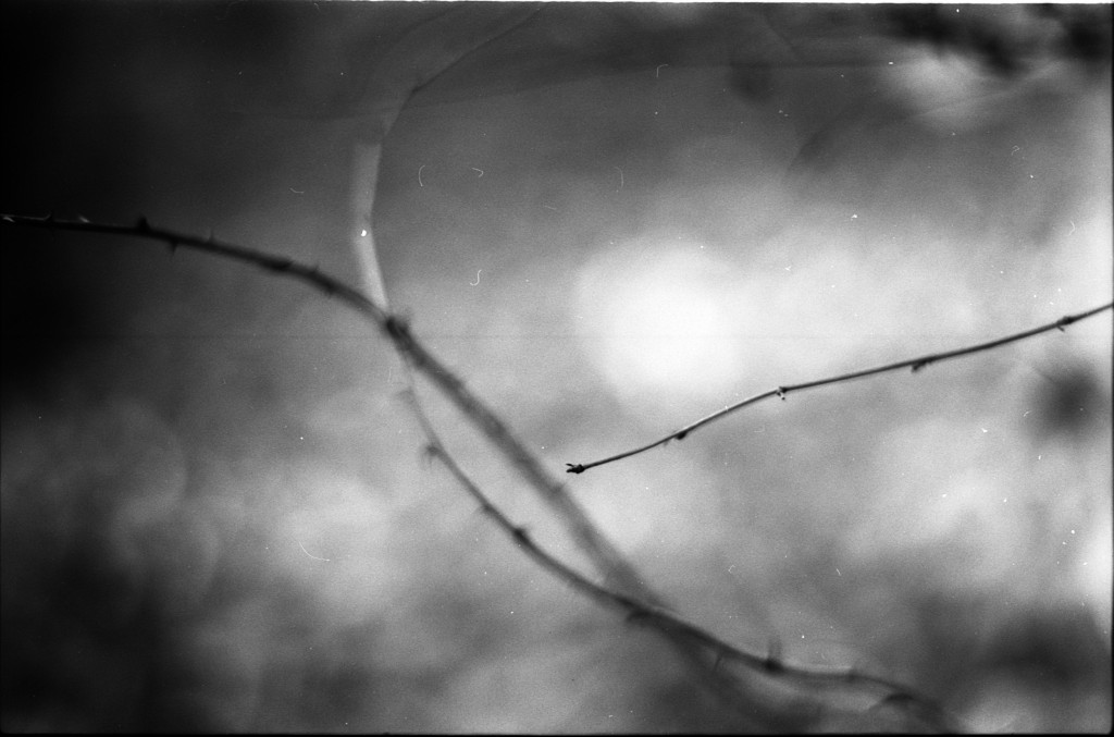 1-141124SP-retro80-004