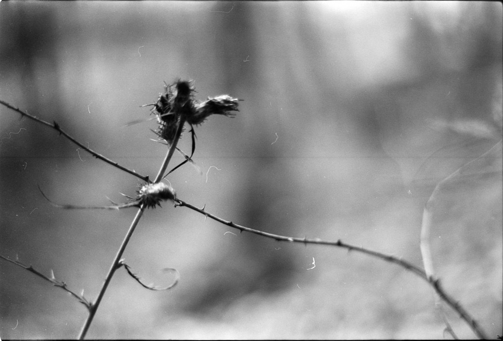 1-141124SP-retro80-006