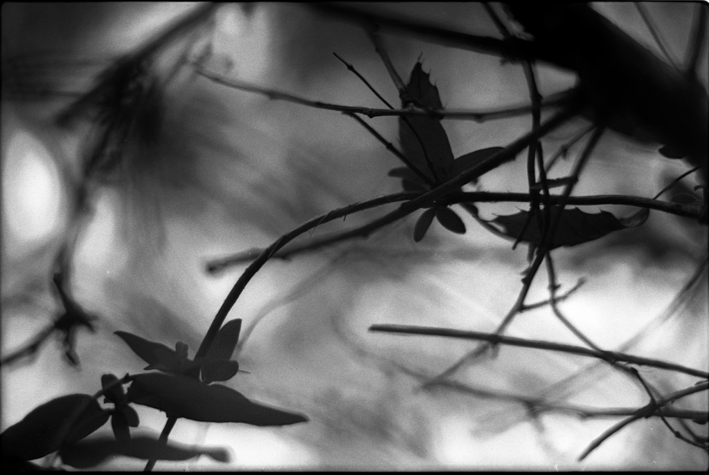 1-141124SP-retro80-007