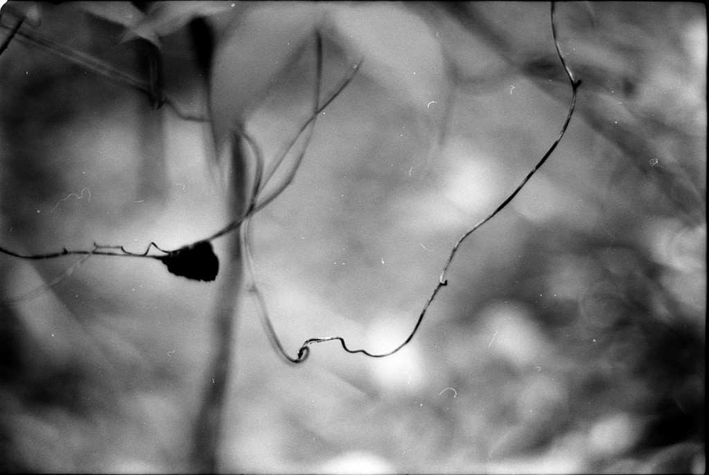 1-141124SP-retro80-012