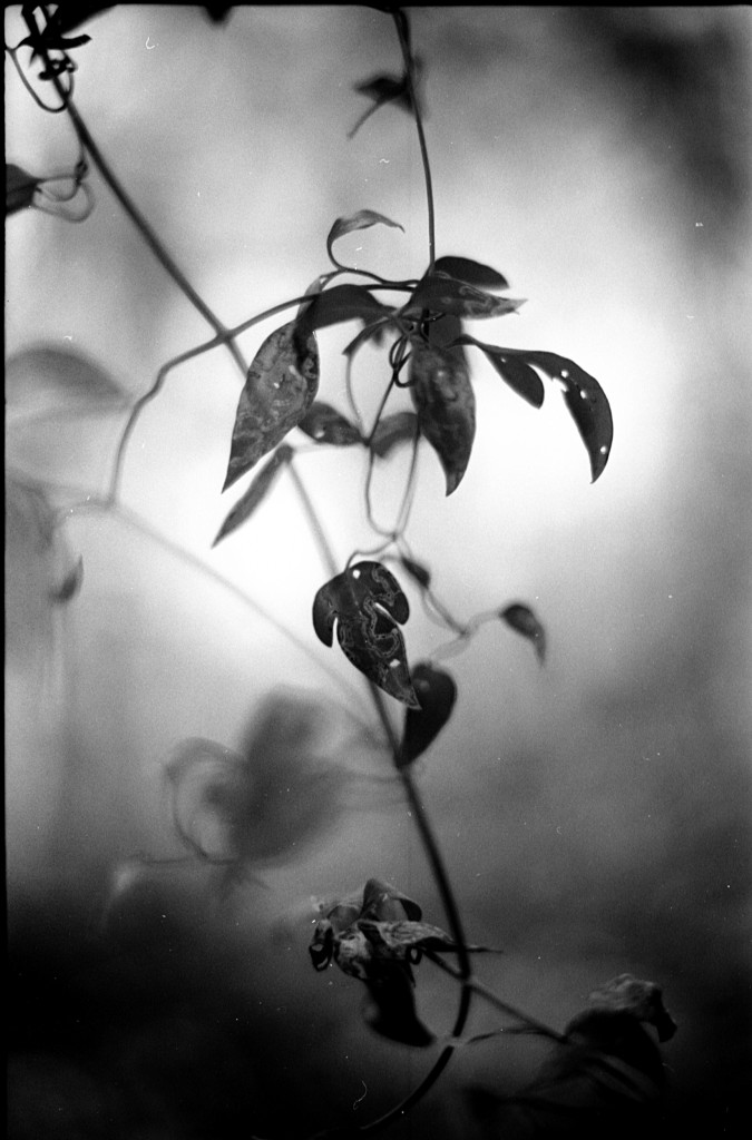 1-141124SP-retro80-013