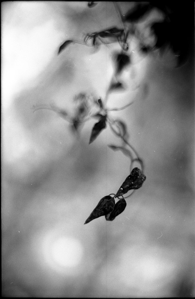 1-141124SP-retro80-014