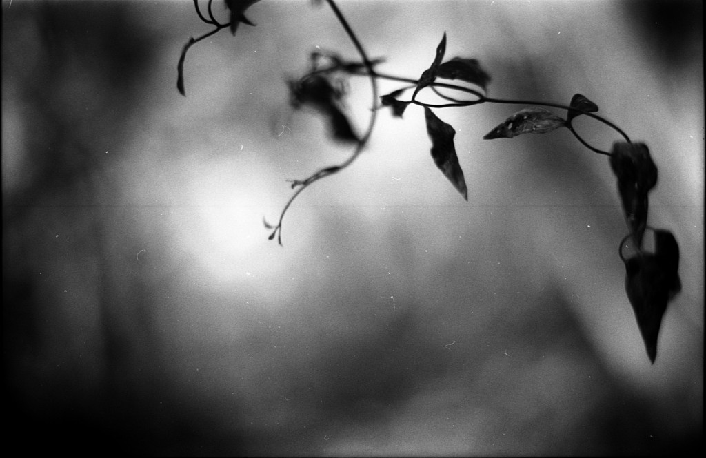 1-141124SP-retro80-015