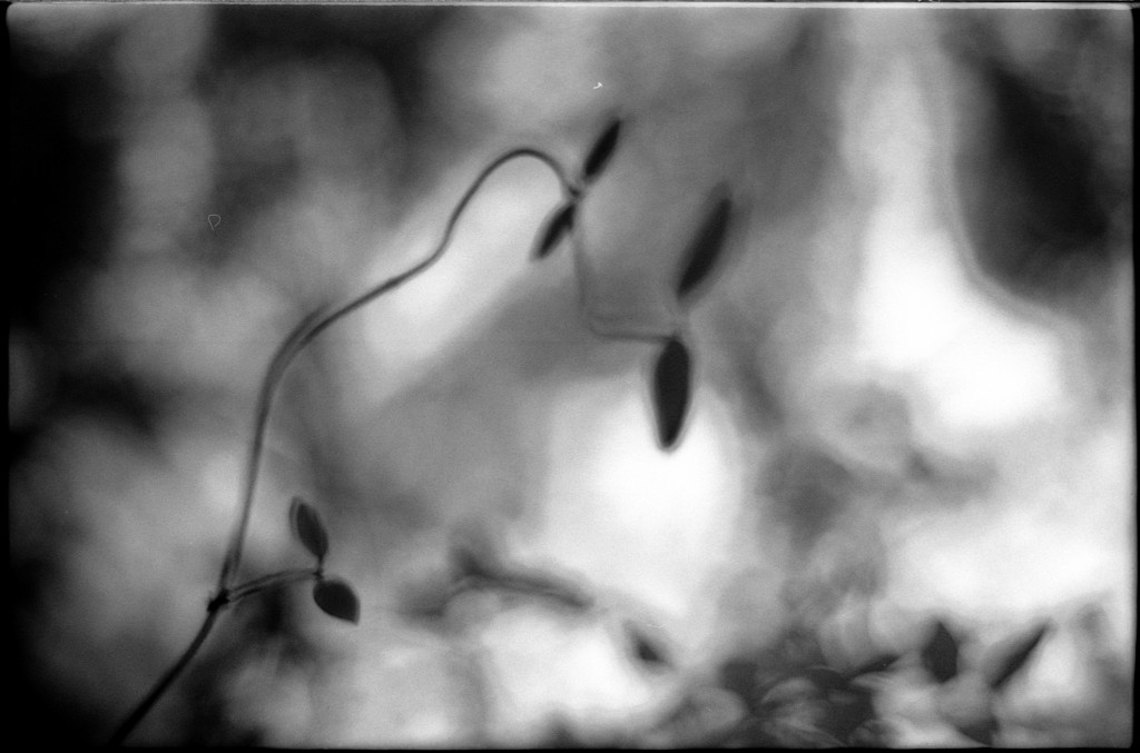 1-141124SP-retro80-017