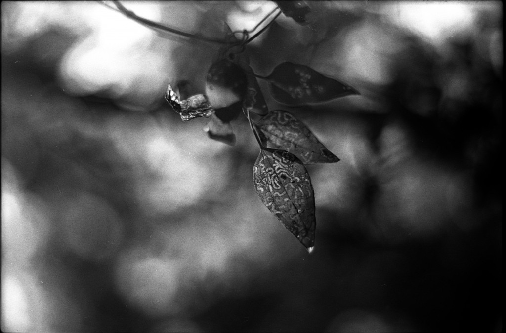 1-141124SP-retro80-019