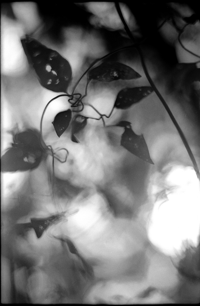 1-141124SP-retro80-020