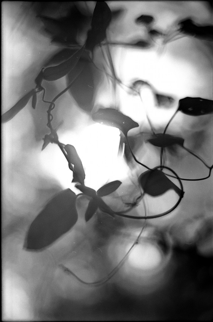 1-141124SP-retro80-021