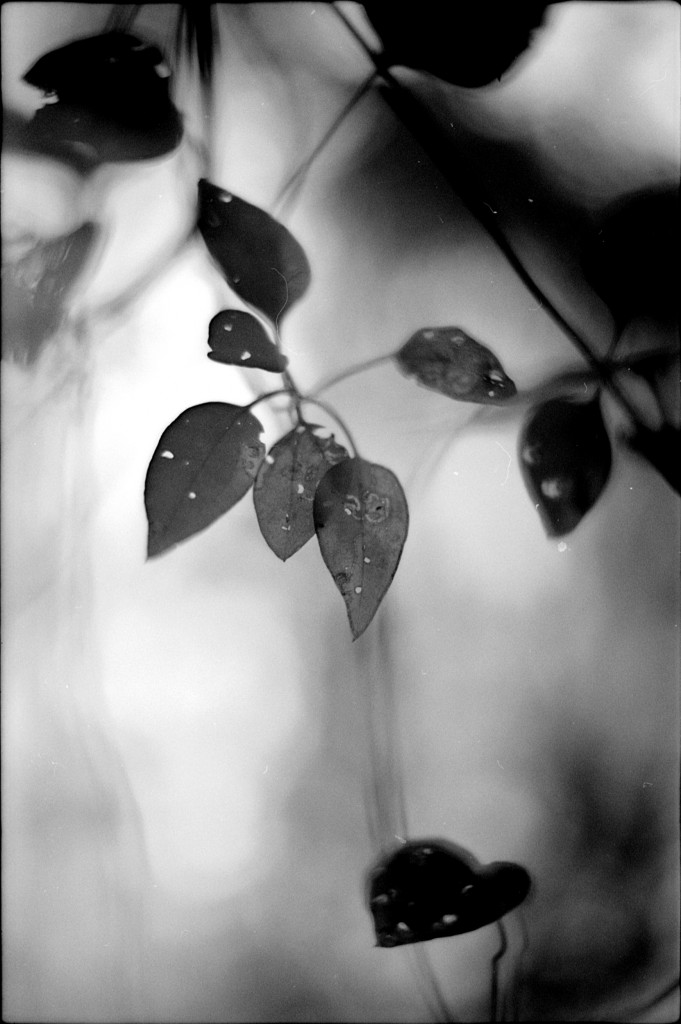 1-141124SP-retro80-023