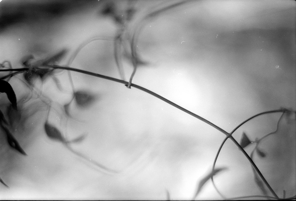 1-141124SP-retro80-024