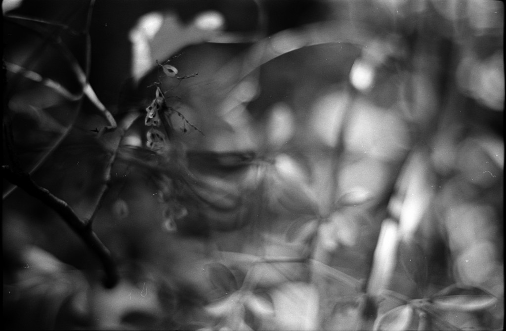 1-141124SP-retro80-025