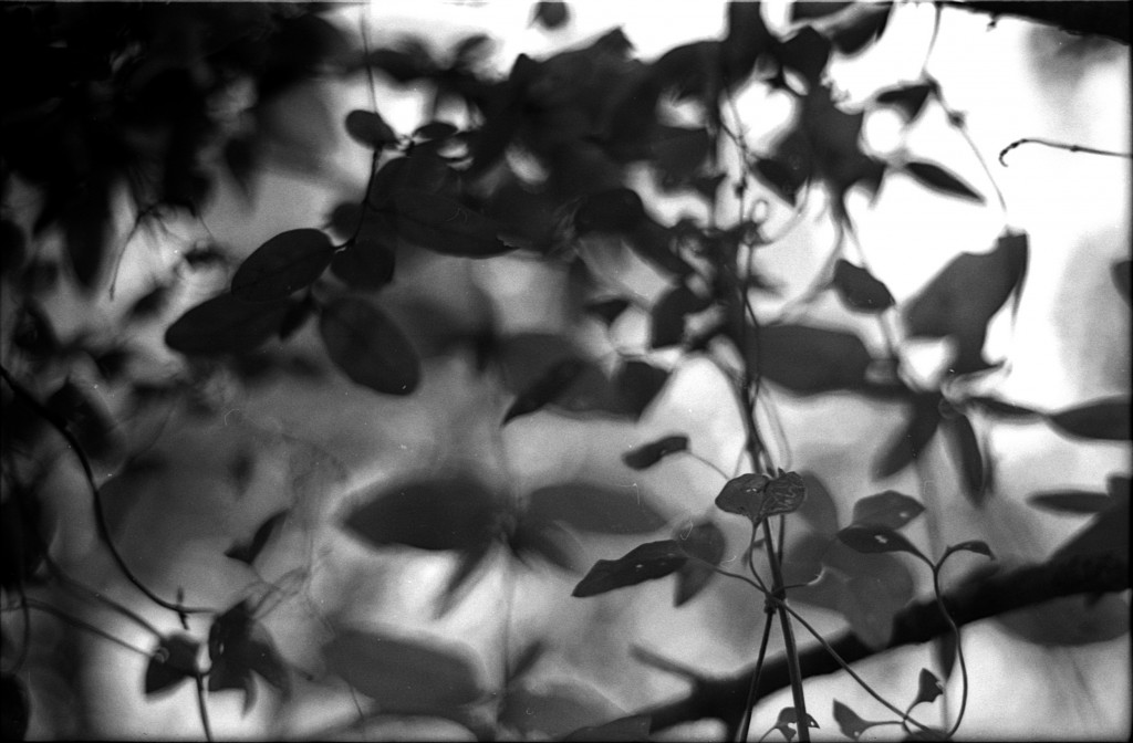 1-141124SP-retro80-027