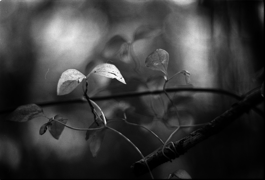 1-141124SP-retro80-030