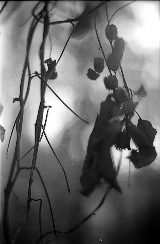 1-141124SP-retro80-034