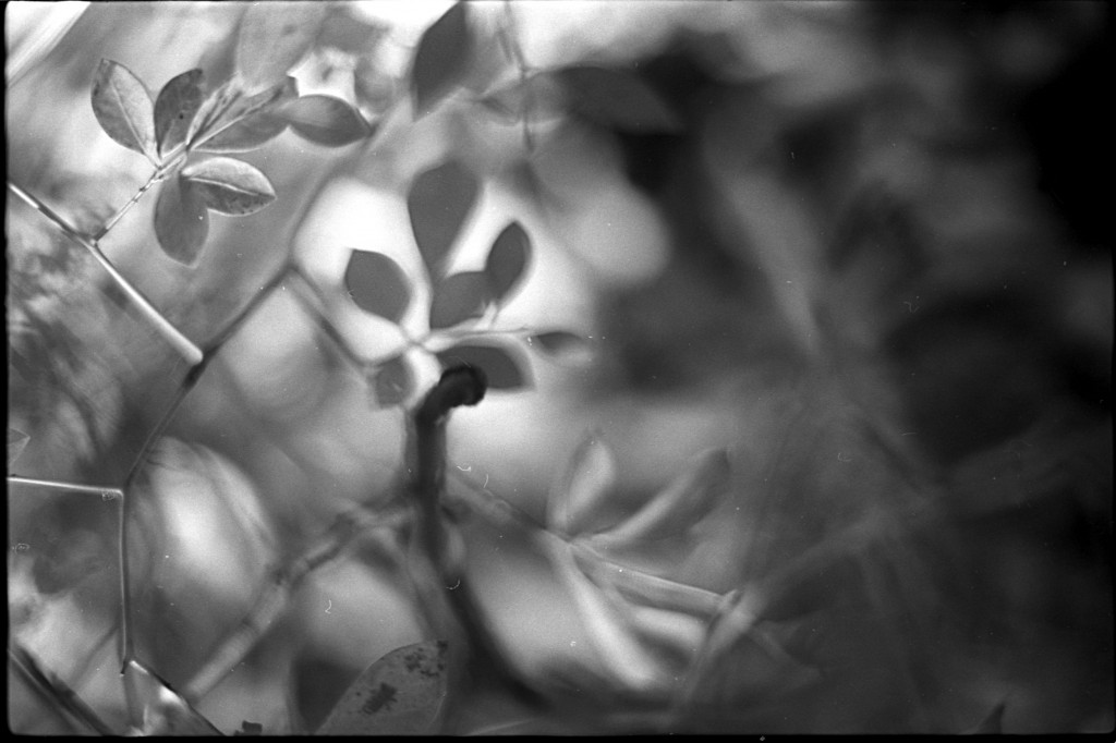 1-141124SP-retro80-036