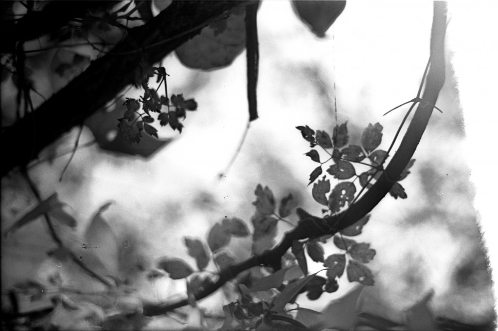 1-141124SP-retro80-037