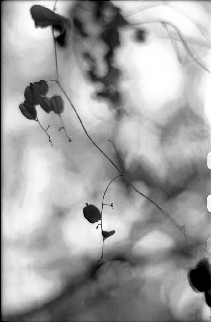 1-141124SP-retro80-039