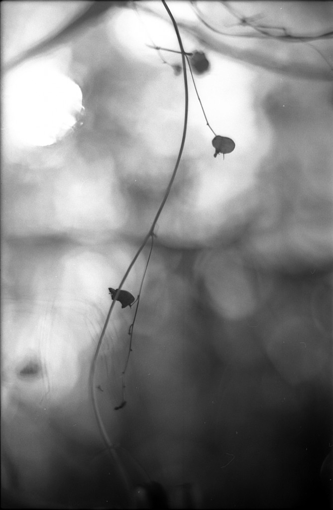 1-141124SP-retro80-040