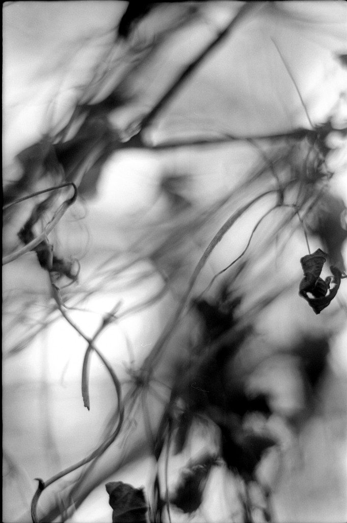 1-141124SP-retro80-041