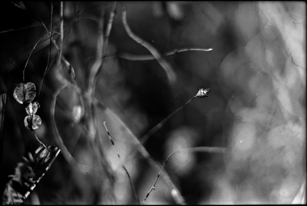 1-150101SP-retro80-002