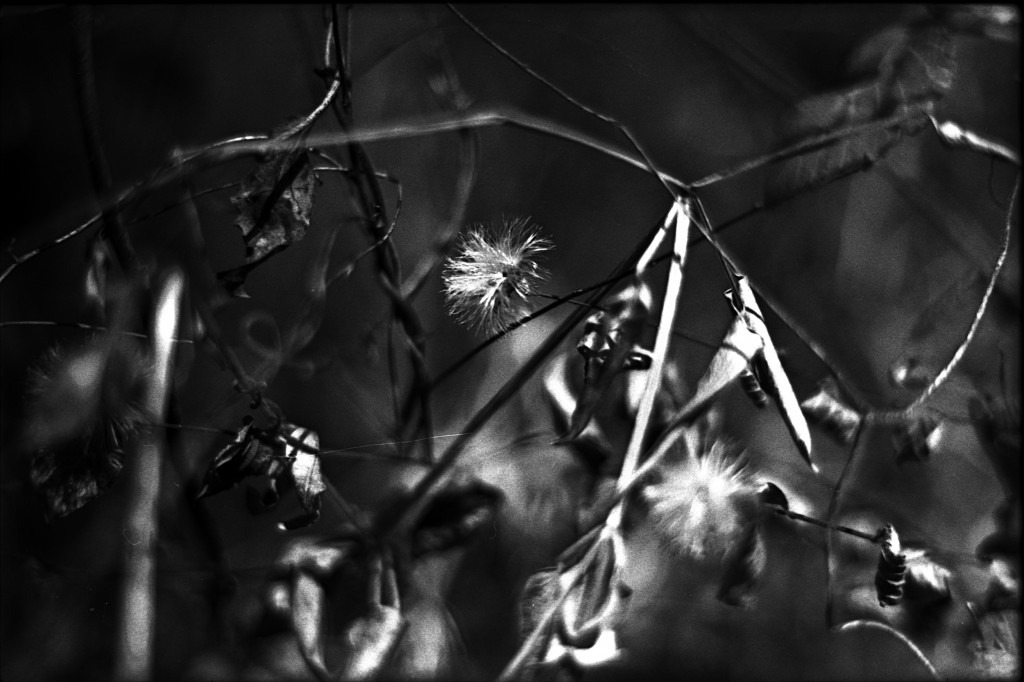 1-150101SP-retro80-003