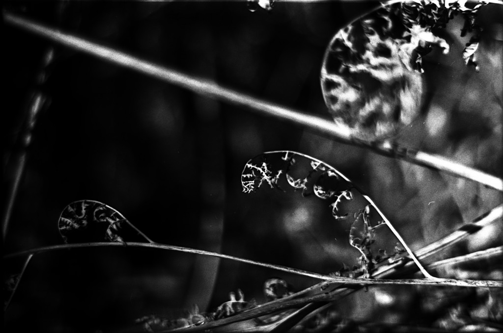 1-150101SP-retro80-005