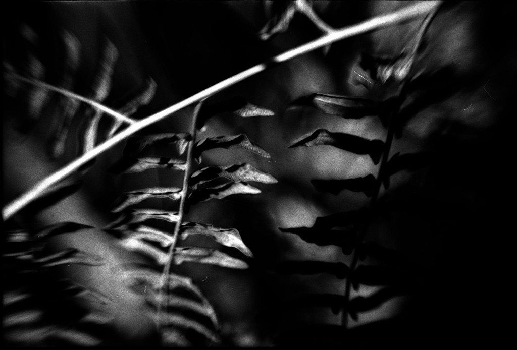 1-150101SP-retro80-008