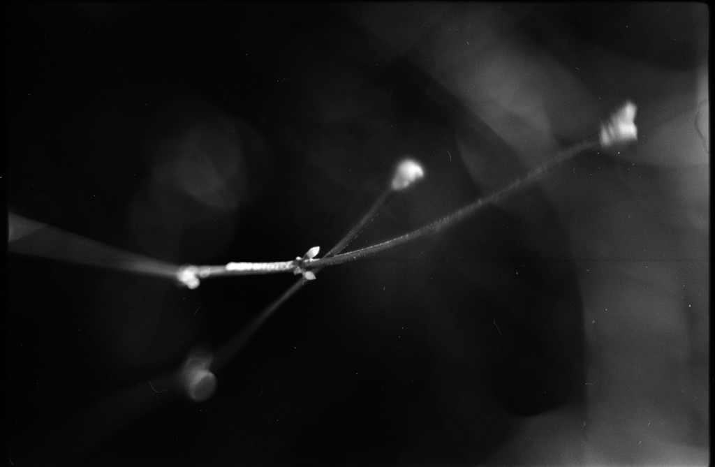 1-150101SP-retro80-010