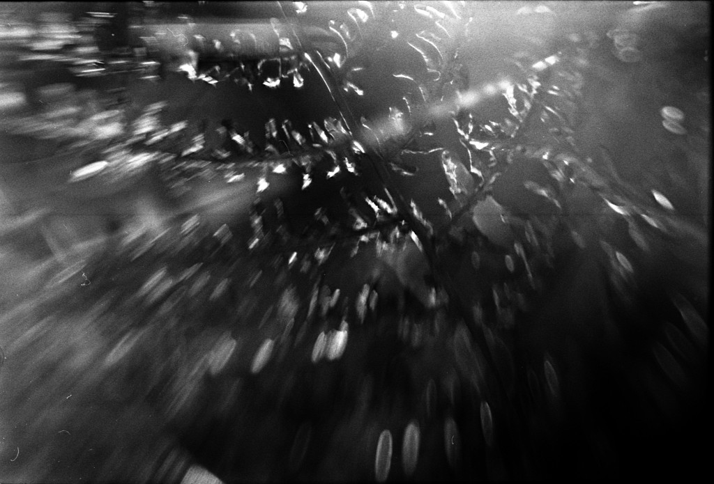 1-150101SP-retro80-014