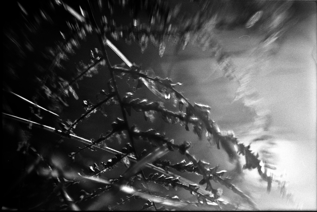 1-150101SP-retro80-016